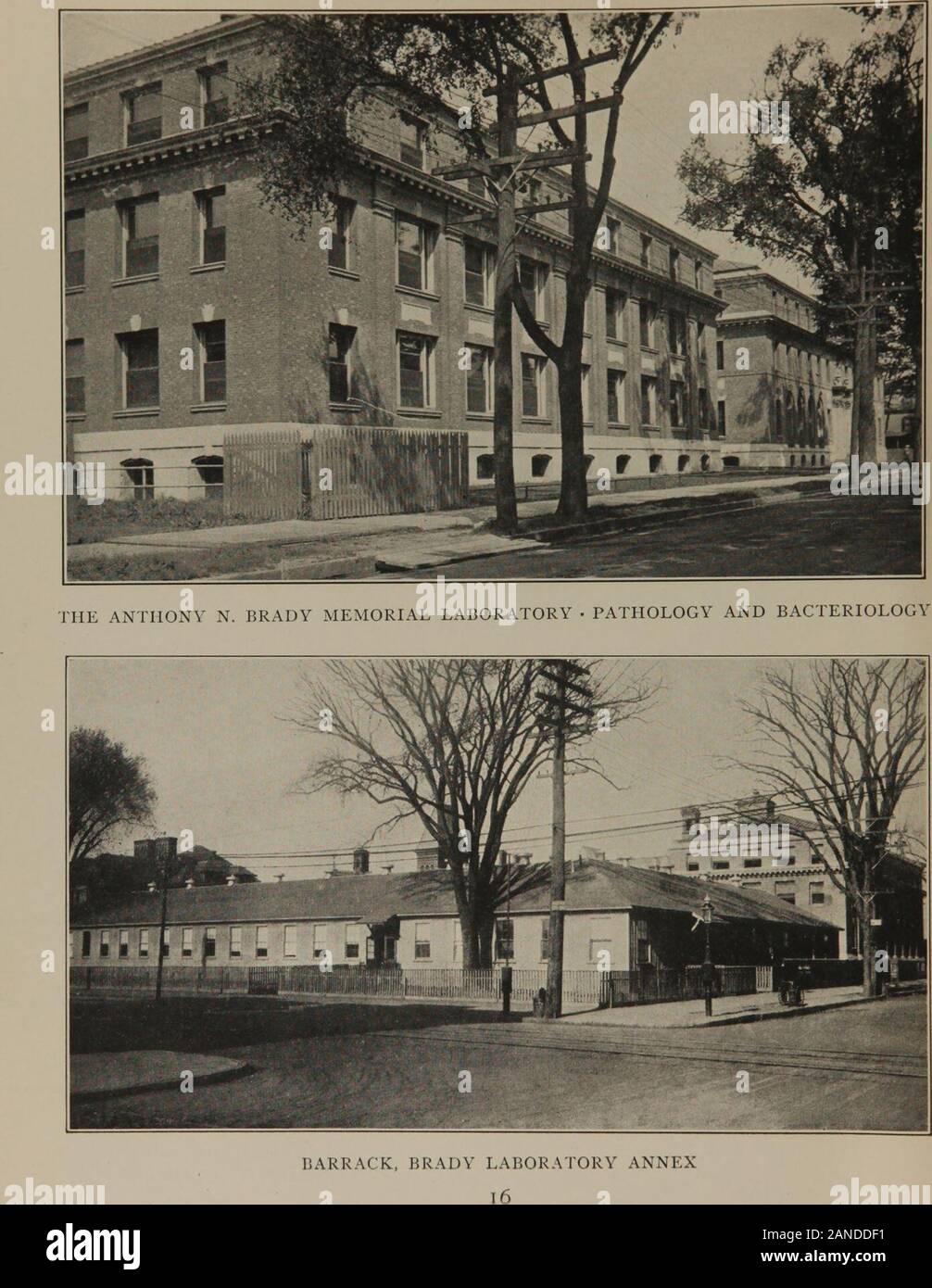 The past, present & future of the Yale University School of Medicine and affiliated clinical