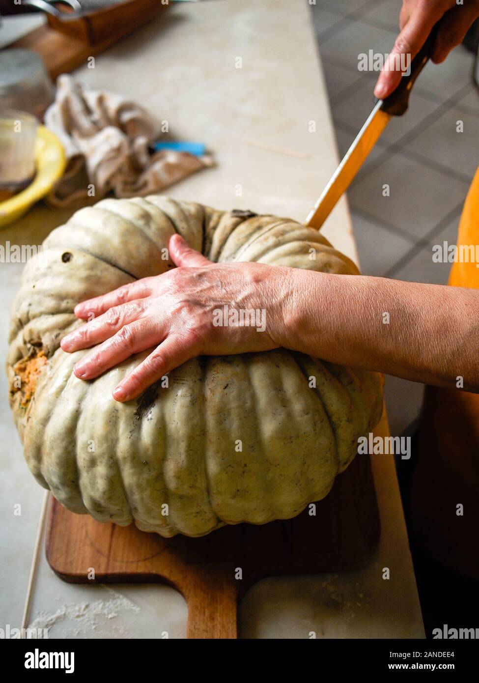 Preparing and cutting a fresh bio pumpkin Stock Photo