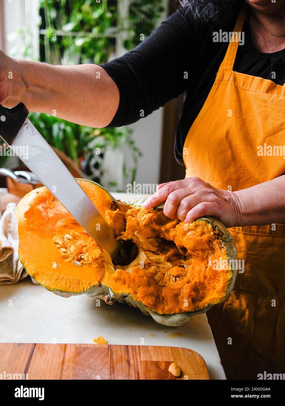 Preparing and cutting a fresh bio pumpkin Stock Photo
