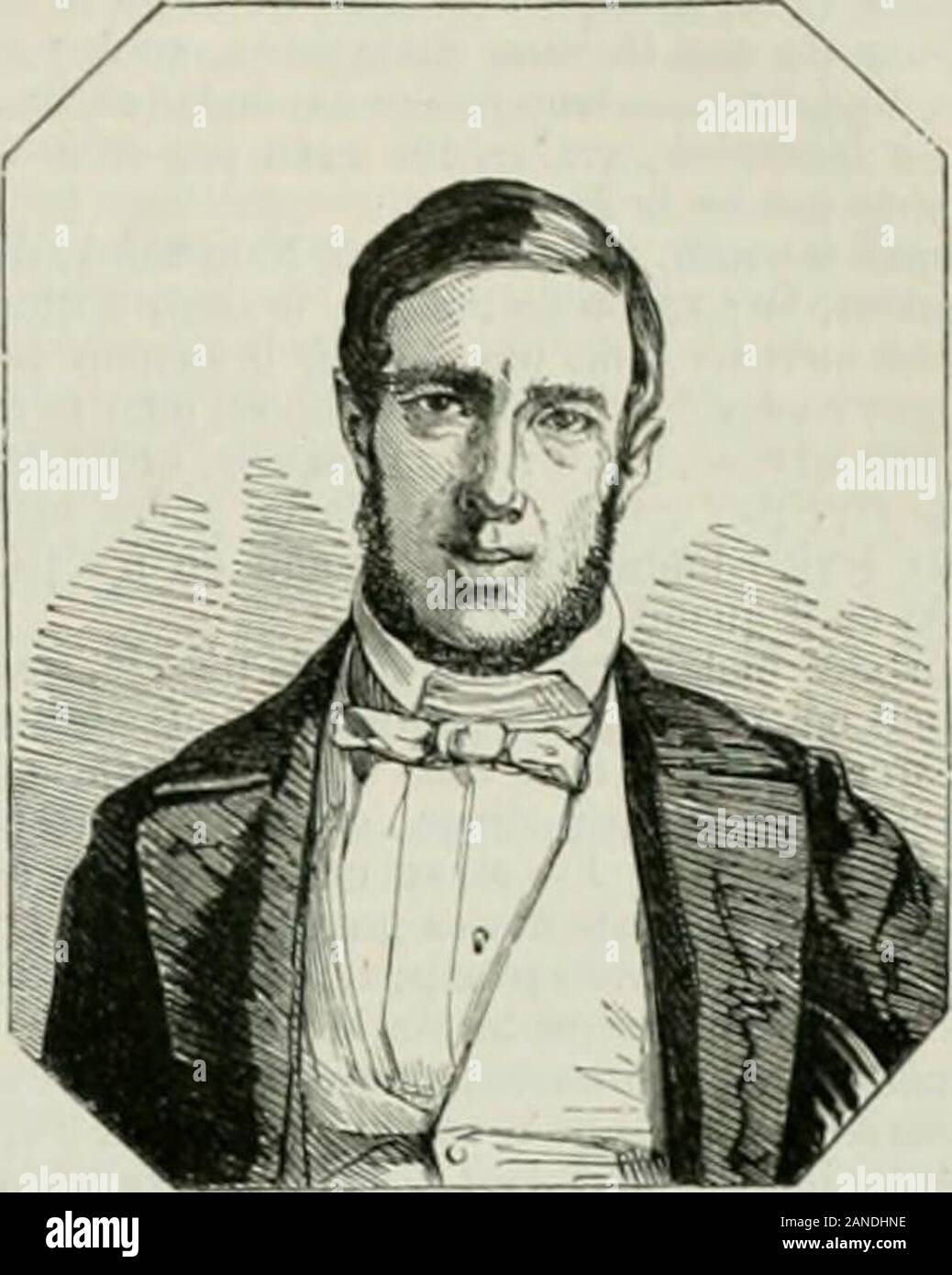 frange effilée dégradée