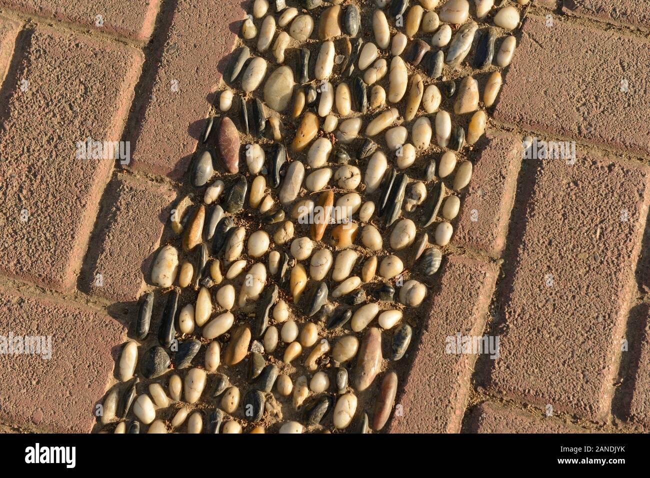 Pebbles give a raised feature to a brickpaved path in eastern Beijing
