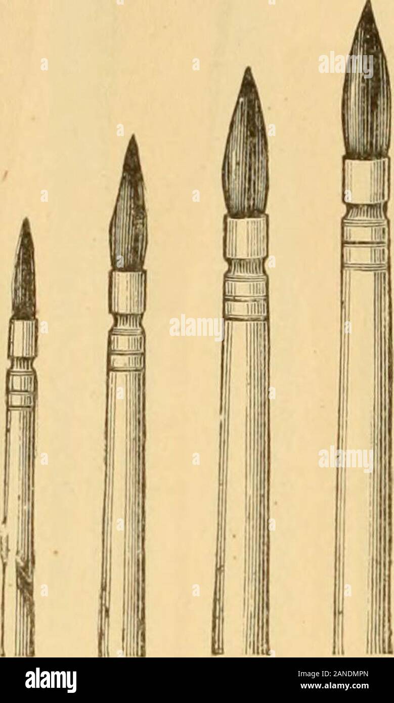 Illustrated Catalogue And Price List Of Artists Materials Gold