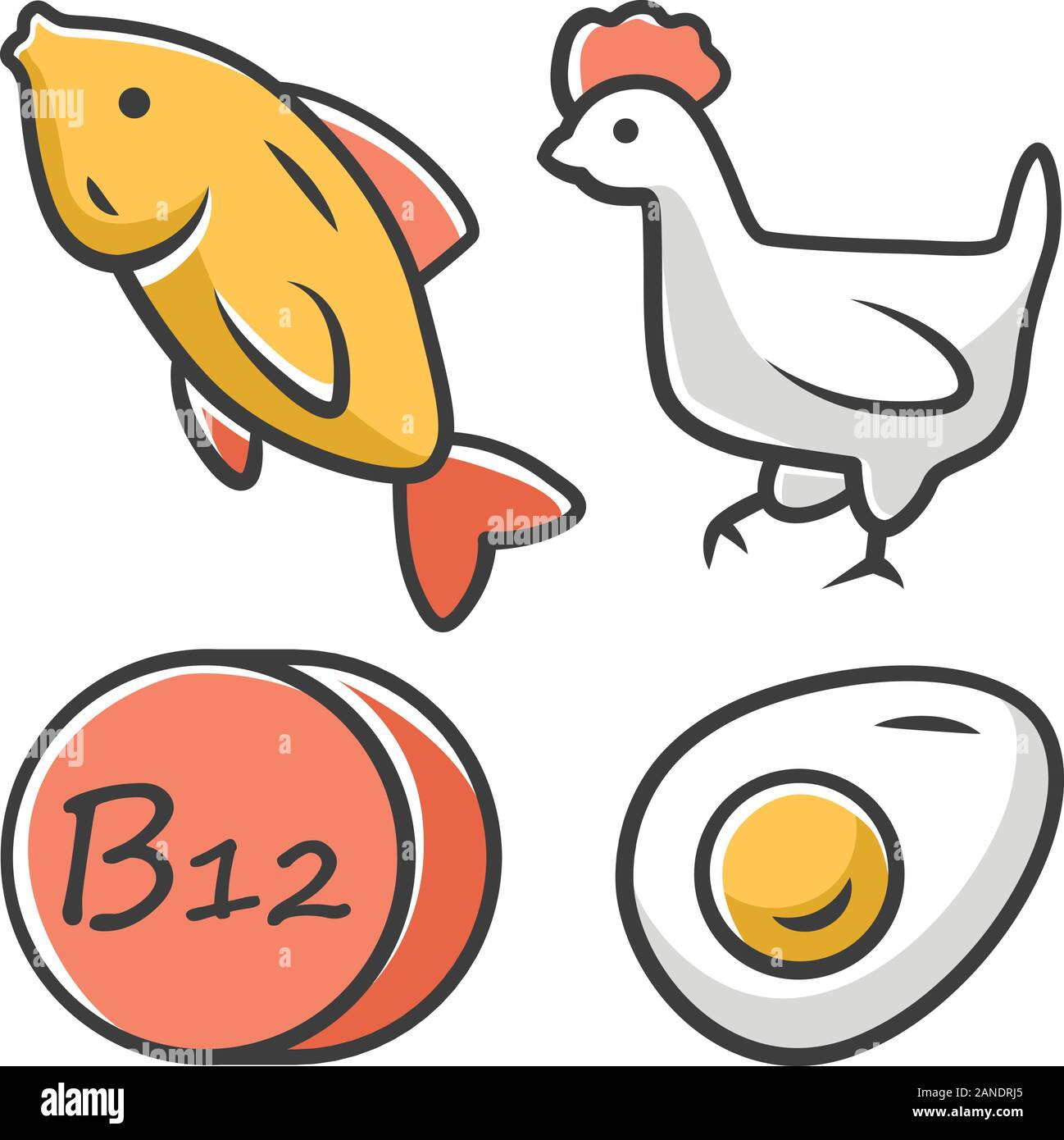 Vitamin B12 color icon. Fish, poultry and egg. Healthy eating