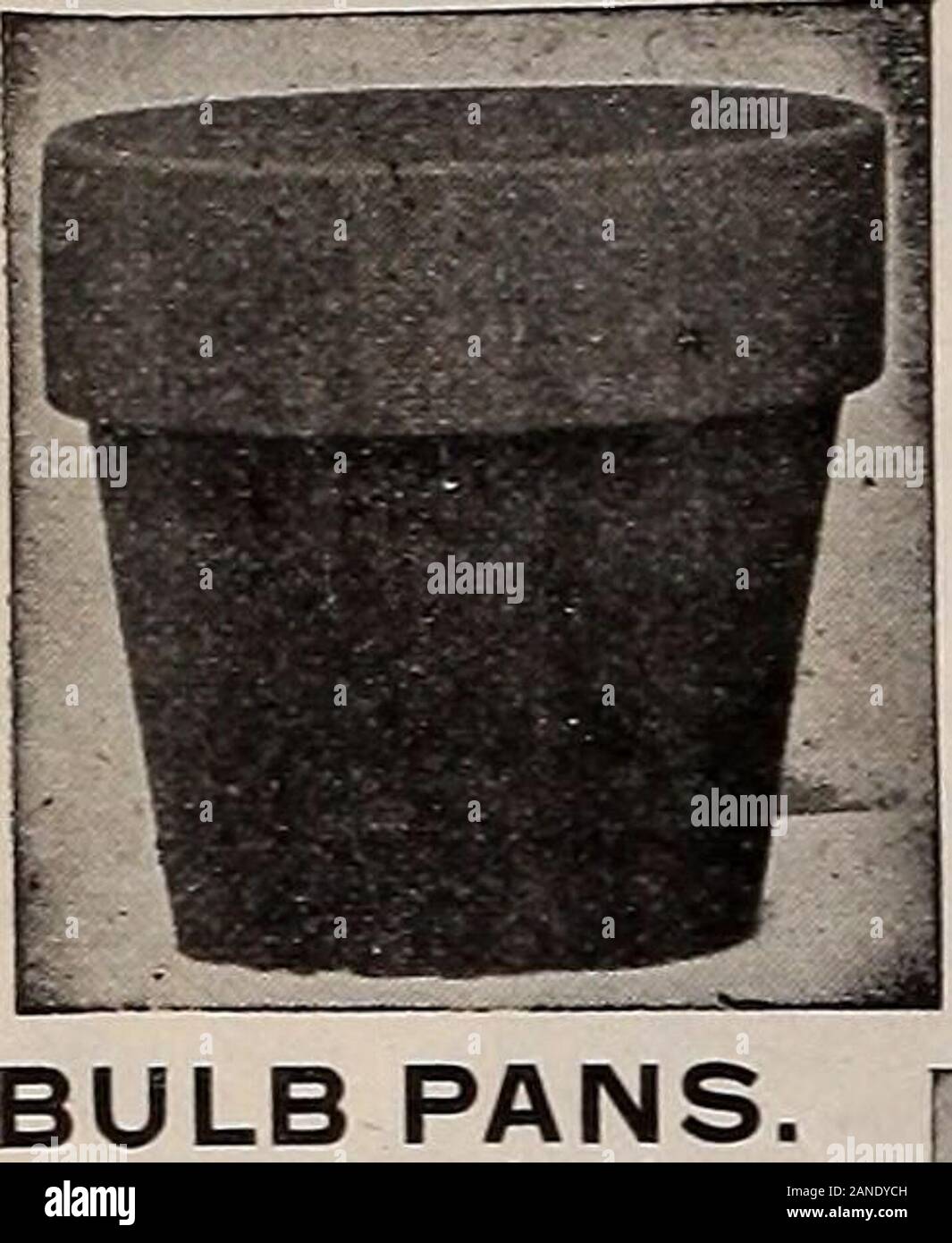 Livingston's true blue bulbs plants seeds for autumn . 30 The Itivingston Seed Company, Columbus, Ohio. FLOWER POTS, standard sizes. Beautiful red Pots, having strong rims that prevent breaking when in use ornested. The concave bottom and large hole in our pots insure perfect drainaeeand a healthy plant. Why not get some of your neighbor friends to go in withyou and buy some of these pots in quantity. Notethe very low price by the 100. Ask for the priceby the 1000. No charge for packing. They mustbe sent by freight at purchasers expense.. Size Each. Dozen 100 1% inch 2 s 10 § 50 2 inch 2 10 60 Stock Photo