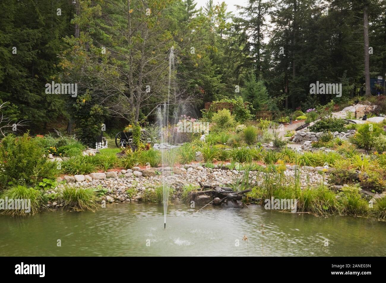 Pond with water fountain jet spray and paths and borders planted with perennial plants, flowers, shrubs including Hemerocallis - Daylilies, Echinacea. Stock Photo