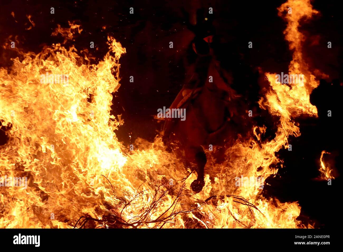 San Bartolomé de Pinares. Avila, Spain; 16/07/2020.- Horses and riders jump  into the fire at Las Luminarias festival held in San Bartolomé de Pinares,  Spain, every night on January 16. Rite of