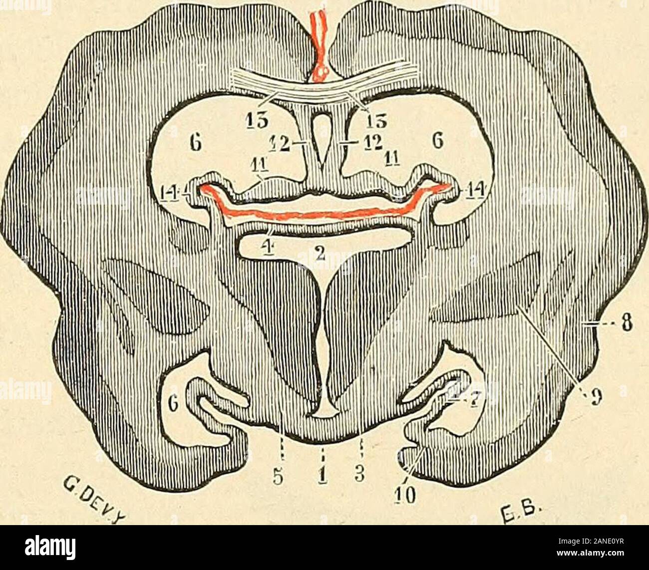 page 11 paroi high resolution stock photography and images alamy