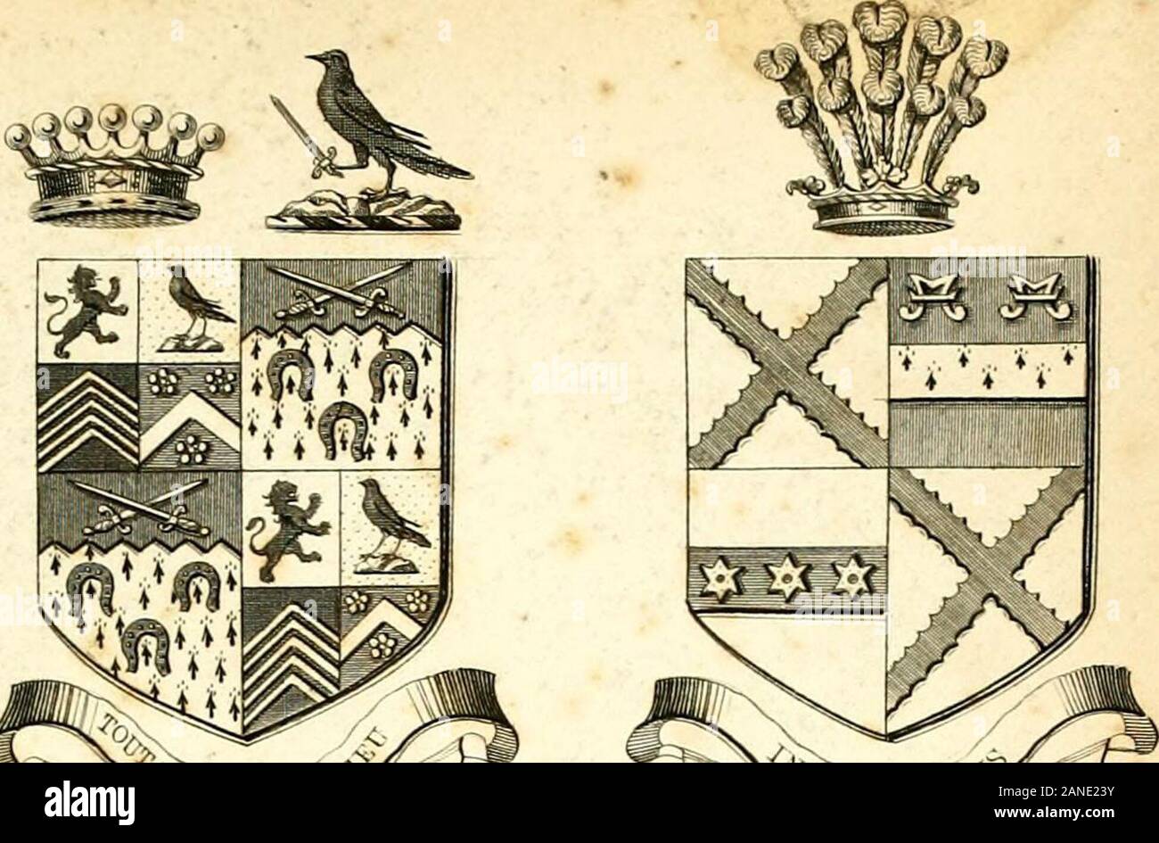 A visitation of the seats and arms of the noblemen and gentlemen of Great Britain and Ireland . fe^%lri^^ •^^^i^SiS^. COX.MAXWELL CLOSE, CCADOLPKUS Dtl BOIS DE FEKIUEEES.ESQ. WILL BfUGHAMl, ESQ. DETO&lt;EBJUJAGHER,CO. AKMAGH. HAILDWICK HALL.CO.MOmiOUrH . FOXI.ET HOUSE,CO. CHESTER.. Stock Photo