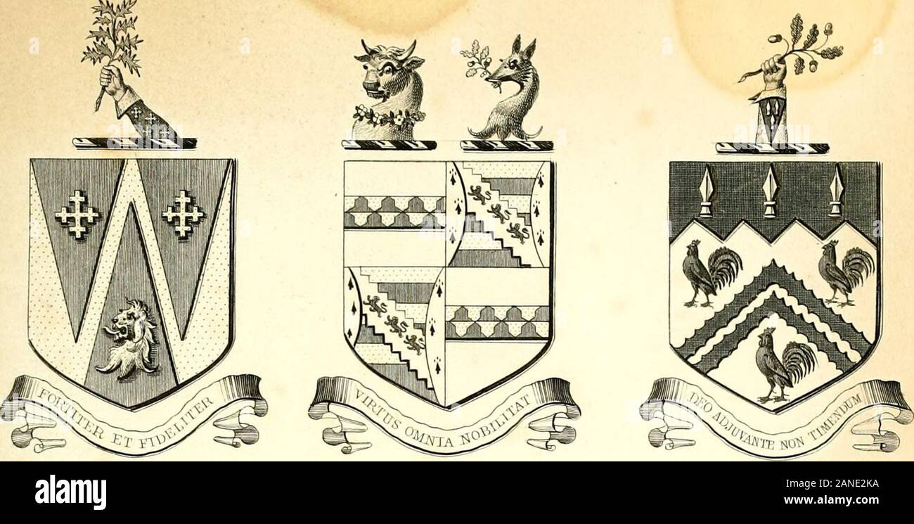 A visitation of the seats and arms of the noblemen and gentlemen of Great Britain and Ireland . CJIA]{LES VrATERTOK.ESQ.MALTOr. CO. YORK. V JJHURY l.UWE.ESQ,LOCKO P^EJI.CO. DEEBT. EKA^^CIS WOODWARD, ESQ.BEIClCLUHAIiPTOir HOUSE CO. T.OECESIER .. W:&lt; HEiSlRY ARMITAGE, ESQ. WILLIAM PERRY KERRICK.ESQ. TLGREMOTIT, CHESUUtE . IffiAU TVTABOR.CO LEICESTEIi. BENJAMIN WILLIAMS, ESQ.THE LODGE, HIlLrNGDON, MIDDT Stock Photo