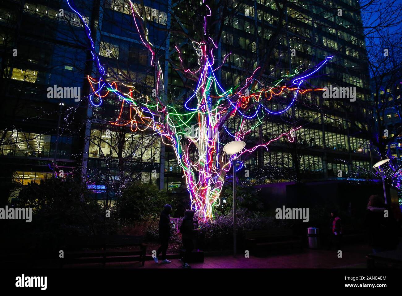 Neon Tree art installation is seen during the opening day of the Canary Wharf Winter Light Festival in Docklands, London. The festival is open to public daily from 4pm to 10pm until 25 January 2020. Neon flex transforms a tree into a striking sculpture Canada Square Park. This colourful display shines subtly by day and dazzle by night. Stock Photo