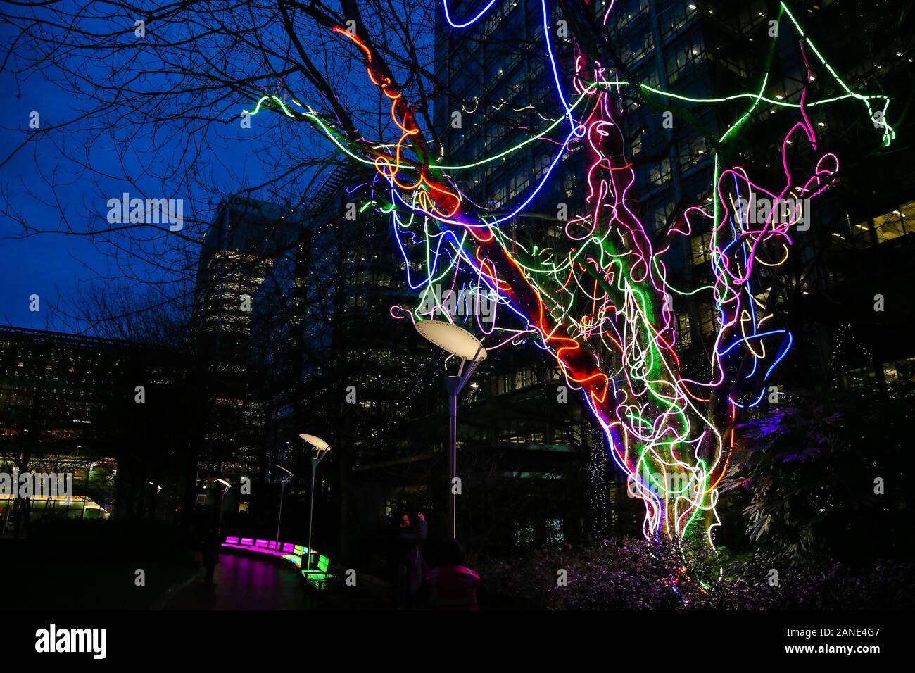 Neon Tree art installation is seen during the opening day of the Canary Wharf Winter Light Festival in Docklands, London. The festival is open to public daily from 4pm to 10pm until 25 January 2020. Neon flex transforms a tree into a striking sculpture Canada Square Park. This colourful display shines subtly by day and dazzle by night. Stock Photo