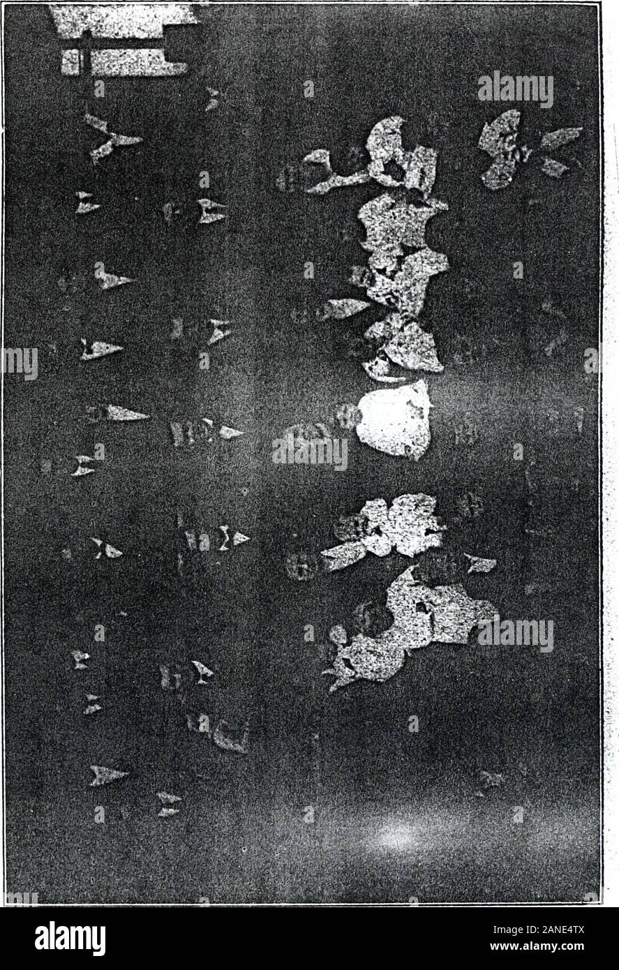 Bookidrutherfordco hires stock photography and images Alamy