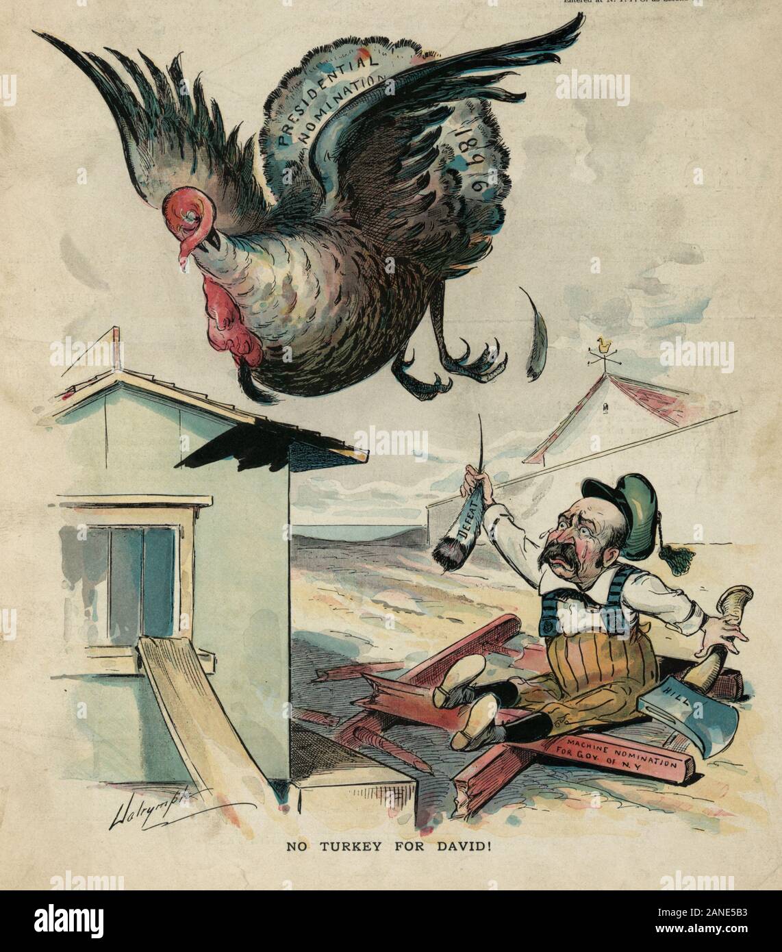 No turkey for David! Print shows a distraught David B. Hill sitting on the ground on a broken ladder labeled 'Machine Nomination for Governor of N.Y.', holding a hatchet labeled 'Hill' in his left hand and a turkey feather labeled 'Defeat' in his right hand; the turkey, labeled 'Presidential Nomination 1896', is flying away. Political Cartoon, November, 1894 Stock Photo