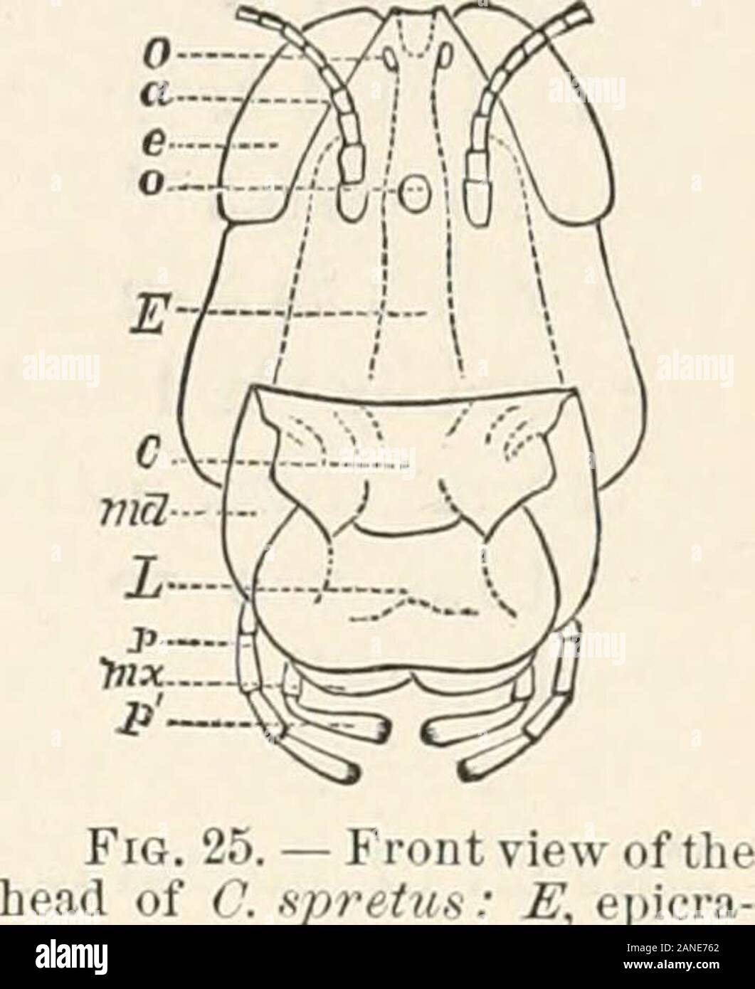Lsi Hi Res Stock Photography And Images Page 3 Alamy