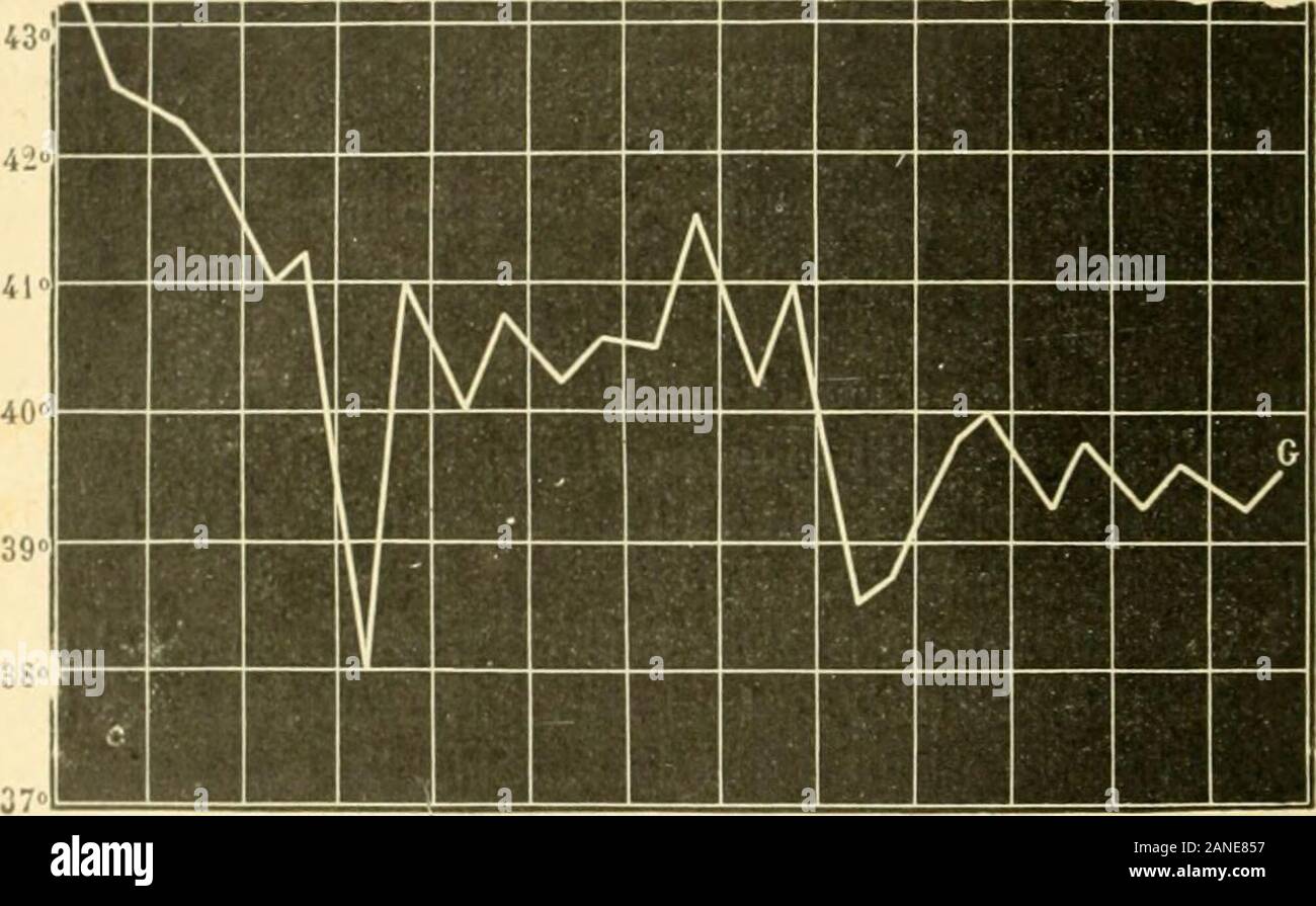 Ant 42 High Resolution Stock Photography And Images Alamy