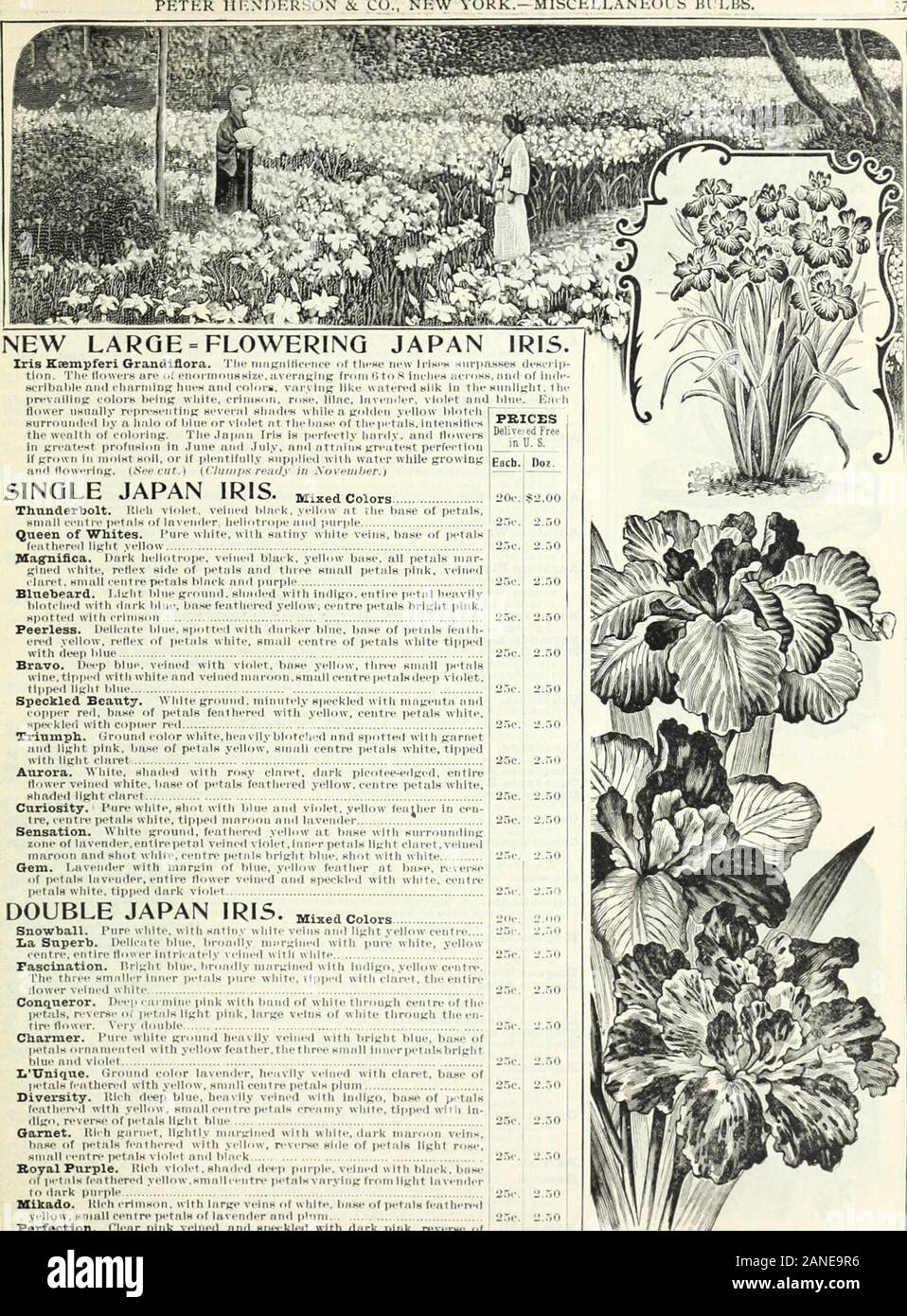 Ivc Hi Res Stock Photography And Images Page 3 Alamy