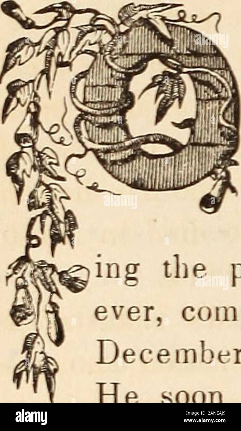 An illustrated history of the New world : containing a general history of all the various nations, states, and republics of the western continent ..and a complete history of the United States to the present time .. . of the routes pursuedby American vessels trading between San Francisco and China, andof the whaling grounds in the North Pacific. The return of Santa Anna to power in the neighbouring republicof Mexico, in March, and his supposed feelings of hostility to theUnited States, taken in connection with the breaking out of a diffi-culty between the American Governor of New Mexico, Gen. L Stock Photo