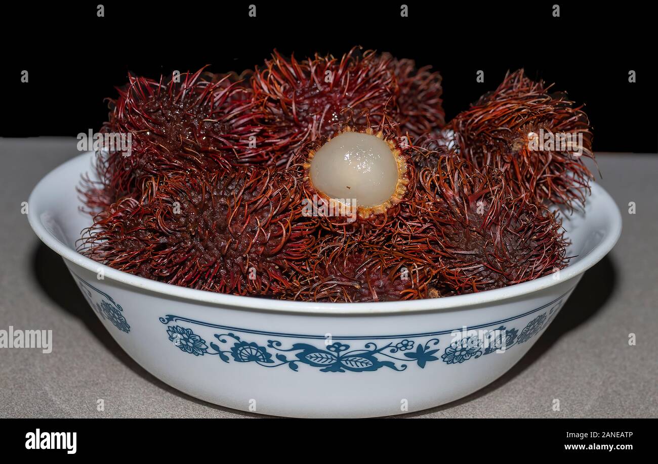 Rambutan tree hawaii hi-res stock photography and images - Alamy