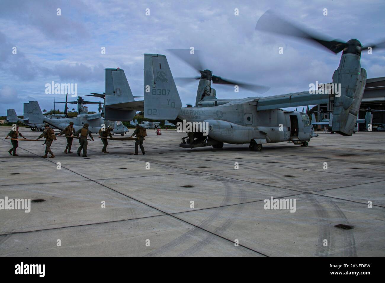 U.S. Marines with Marine Unmanned Aerial Vehicle Squadron 3, Marine Aircraft Group 24, haul equipment onto an MV-22B Osprey on Marine Corps Base Hawaii, Jan. 15, 2019. VMU-3 conducted the load with Marine Medium Tiltrotor Squadron 268 as part of an expeditionary insert in order to maintain combat readiness and lethality. (U.S. Marine Corps photo by Lance Cpl. Jacob Wilson) Stock Photo