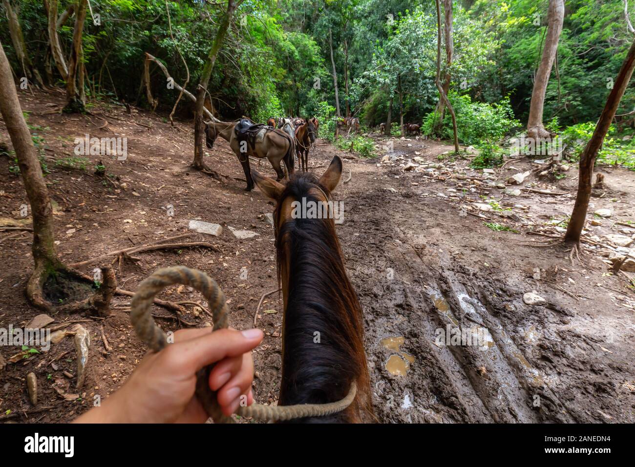 Horseback Riding in Trinidad, Cuba Stock Photo