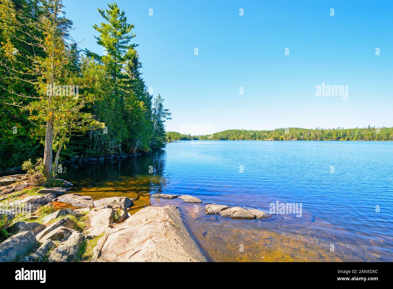 Swamp Lake in the Boundary Waters Canoe Area Stock Photo