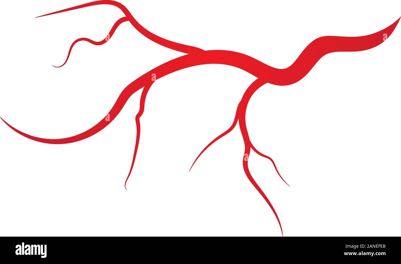 Human veins and arteries illustration design template Stock Vector ...