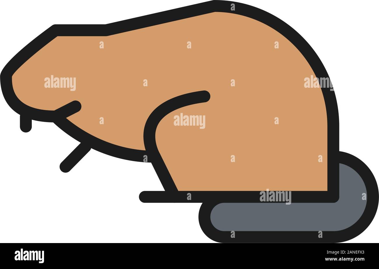 Beaver, water rat flat color line icon. Stock Vector