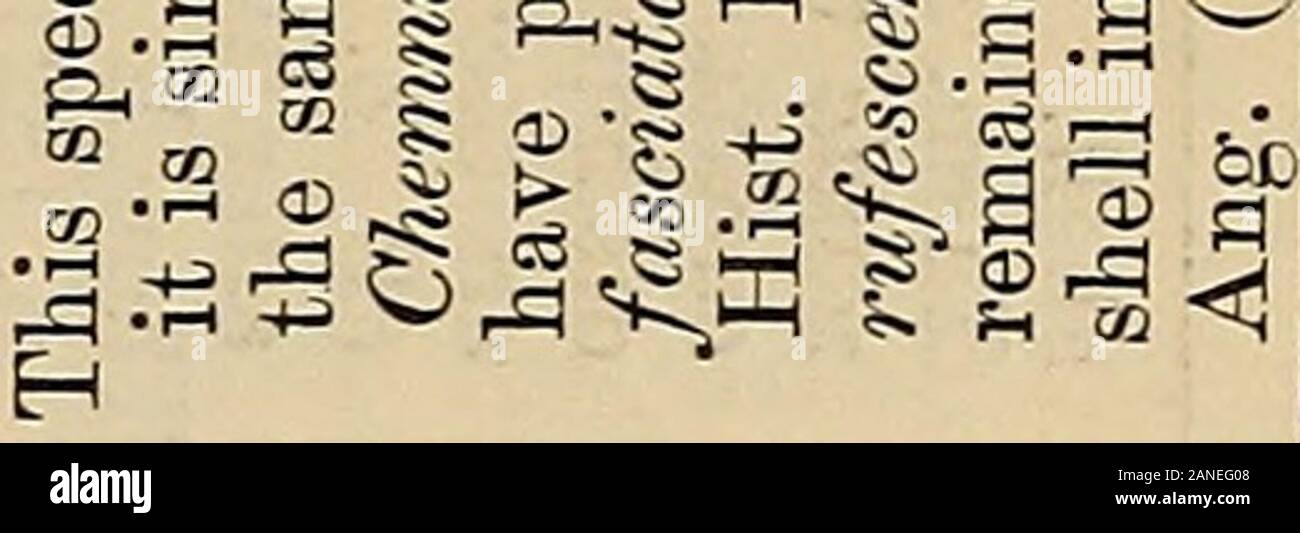 Page 10 S Ib 5 High Resolution Stock Photography And Images Alamy