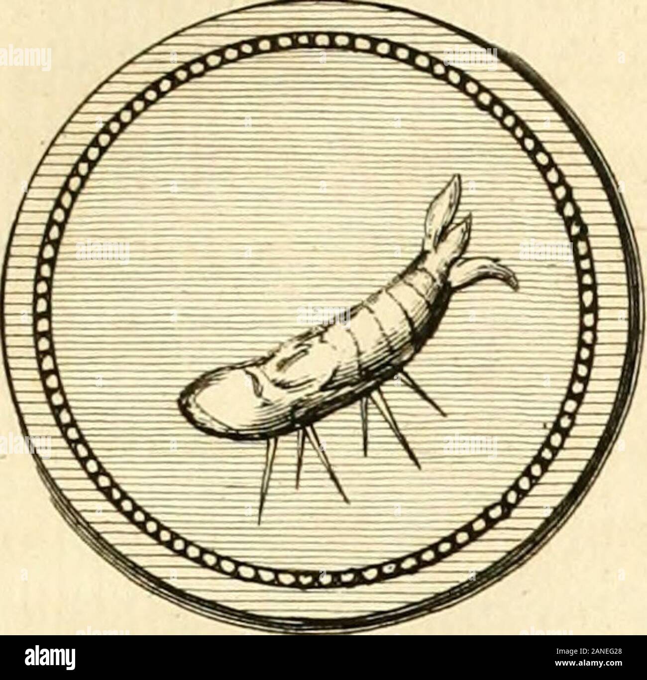 Télécharger gratuitement Images Immor Stock Photos Immor Stock Images Alamy actualisé salutations