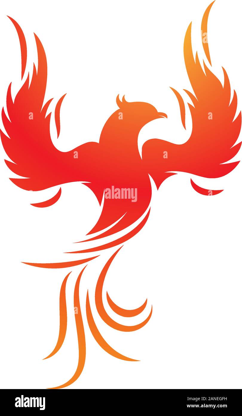 Phoenix vector icon illustration design template Stock Vector Image ...
