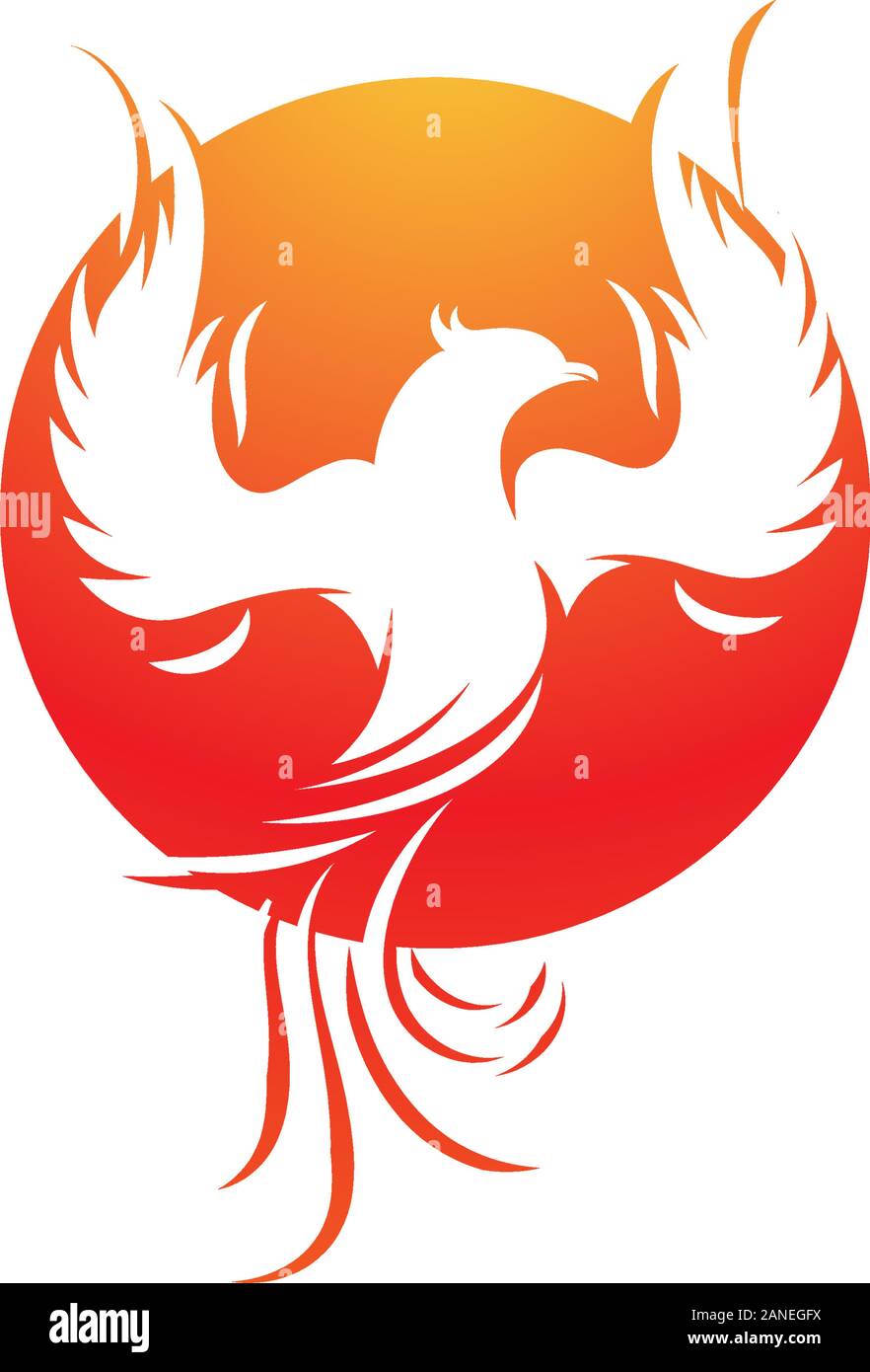 Phoenix vector icon illustration design template Stock Vector Image ...