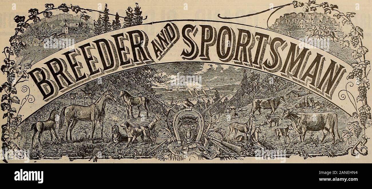 Breeder and sportsman . Perfect patterns VNNXSVV*NVSVVNNVNV ...