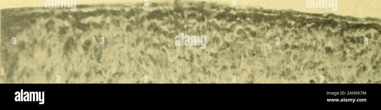6 7 Stock Photos 6 7 Stock Images Page 74 Alamy
