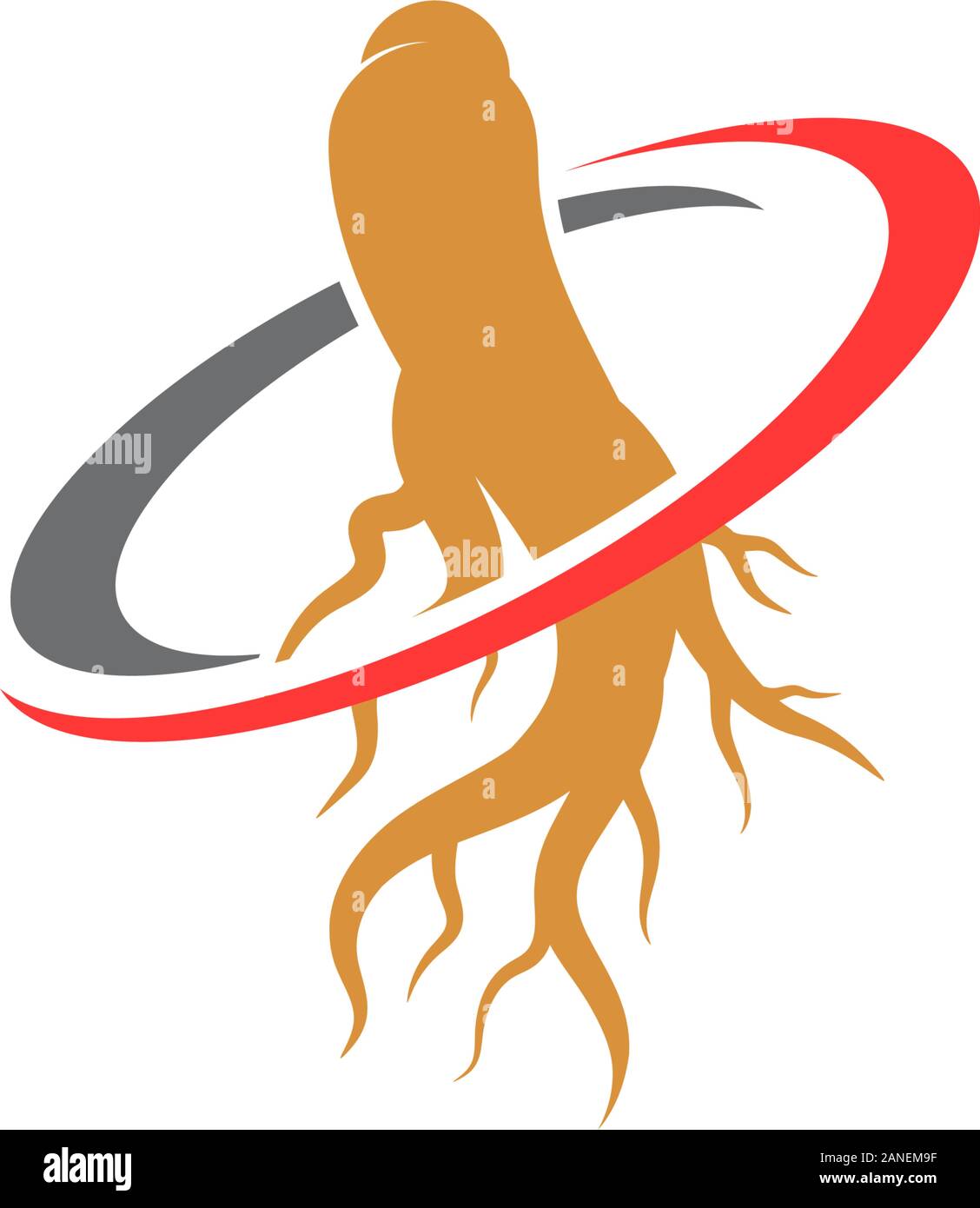 Ginseng vector icon illustration design template Stock Vector
