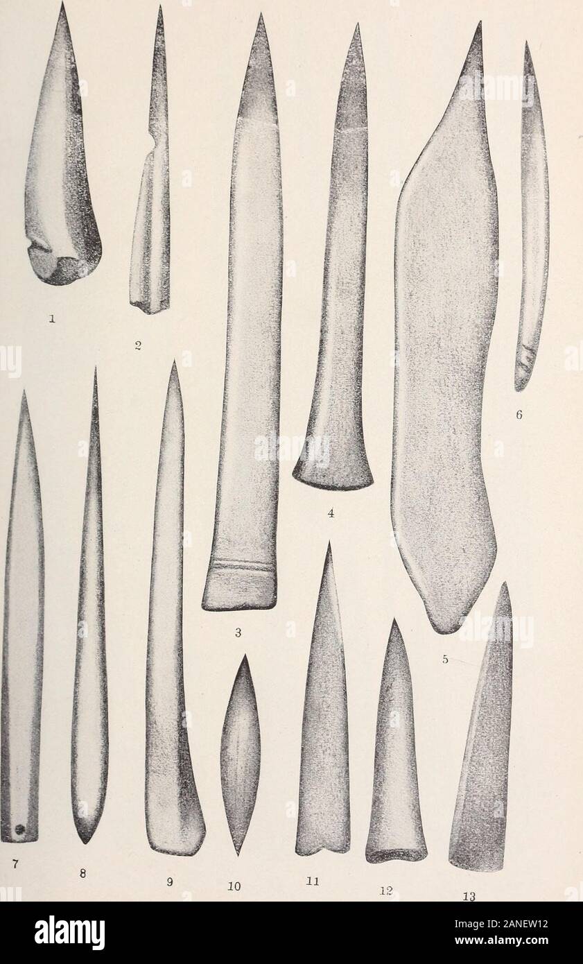 Horn and bone implements of the New York Indians . rs antler cut down and perforated, from Jack Reef. 271 347 Flat bone ornament found northwest of Fort Plain 274 348 A larger ornament found with the last 274 HORN AND BONE EMPLEMENTS 343 pig. Plate 42 page 340 Bone tool with two cutting prongs. This and the four following are from the Christopher site 325 350 A curious bilateral and thin harpoon 304 351 Fine and white bone needle 315 352 Much worn unilateral harpoon 304 353 Double-edged implement with parallel sides and two perforations 320 Plate 43 354 Unilateral harpoon from Cayuga county. I Stock Photo