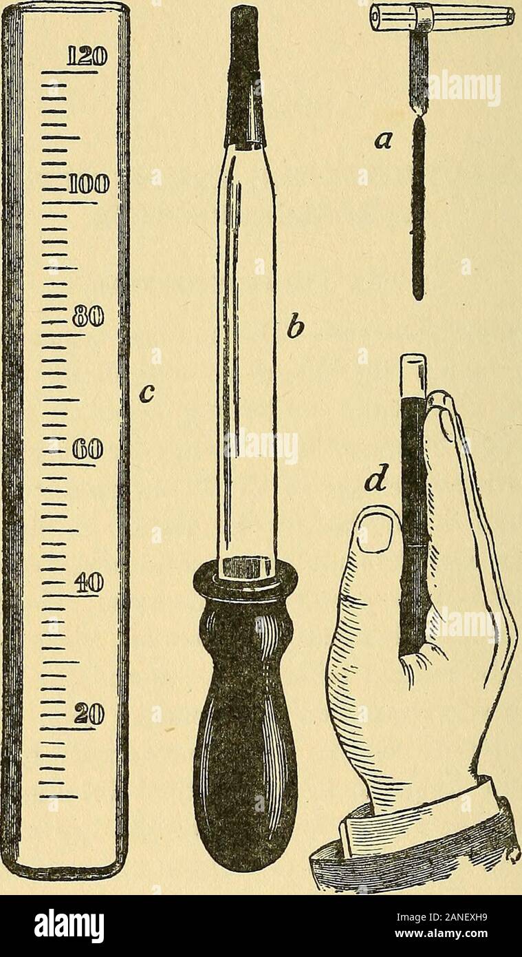 Studies in blood-pressure : physiological and clinical . seen, consisting of closely-packed, minute images of the flame produced by thelongitudinal fibrillation of the glass. In the processof drawing out, the tube becomes minutely corrugatedor fibrillated in the direction of its axis. The corruga-tions are extremely small, but they are easily observedwhen a tube is held before a flame and the structureof the glass is examined by a pocket lens, when thecorrugations are seen to produce alternate bright andshaded lines disposed in the vertical direction. Eachcorrugation acts as a lens, hence the Stock Photo