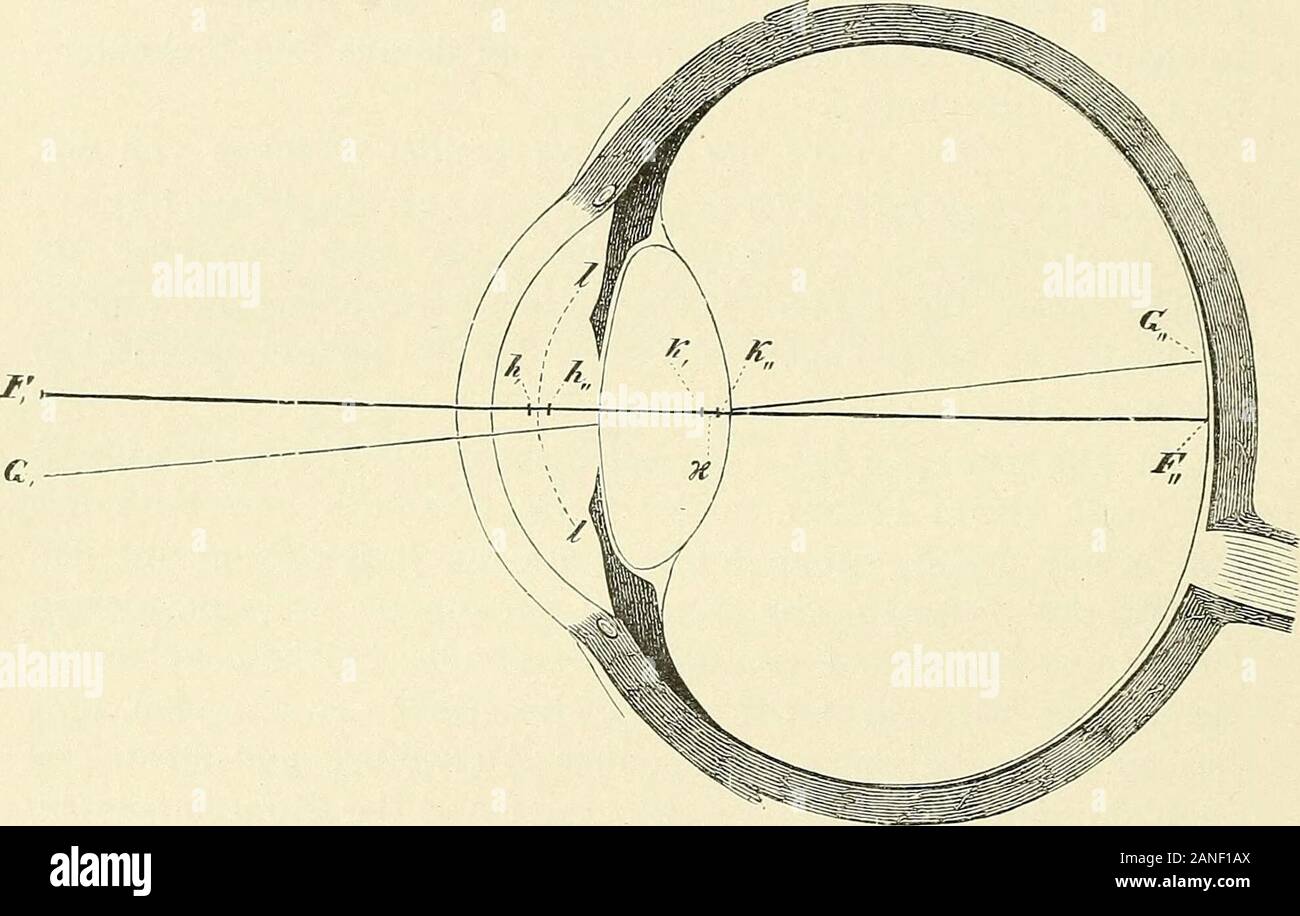 Lehrbuch der Physiologie des Menschen . tendie Lage der Cardinalpunkte für  das menschliche Auge berechnetworden ist, will ich hier nicht eingehen. Ich  verweise diejenigender Herren, die an mathematischen Berechnungen ein  Interessehaben, auf