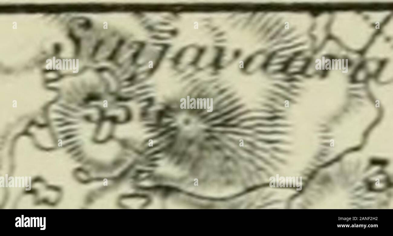 Arkiv för botanik . ^ &lt;^^» sosT -(^. r^&lt;^4i«ft/. f§Vf,^k^- -^^4 %. »Xii r-^ ? V/; Juir-Å C v. ^ *^^ i?3»55; n^i  V X r»&gt;o. Ä^ ?Ösf ?•^- ^Xv. y^^^-f-s. ^råjea.i iJA ?T^-J Stock Photo