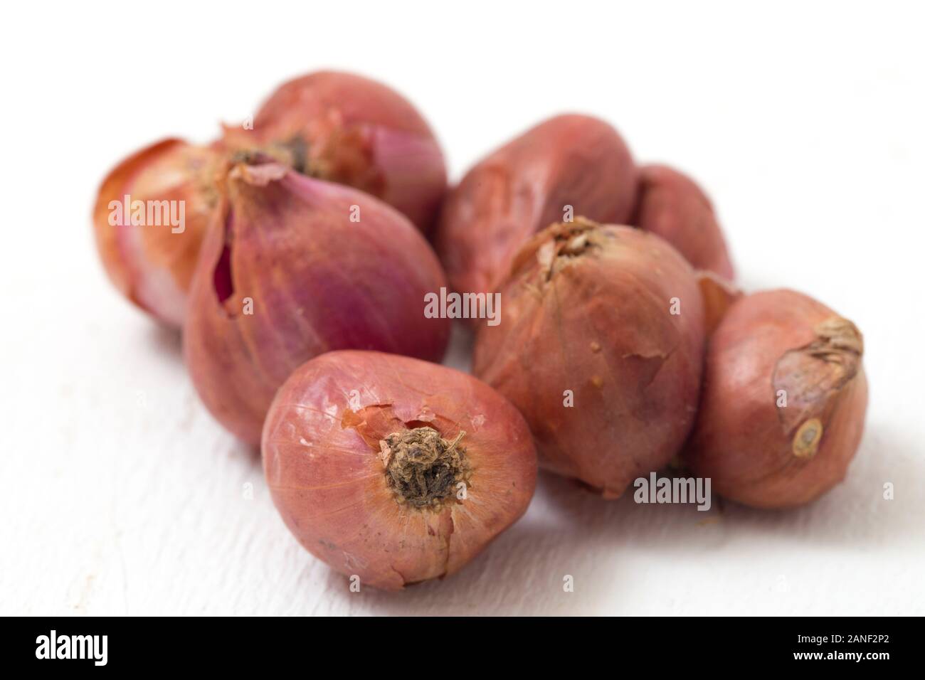 Fresh shallots isolated on white background Stock Photo