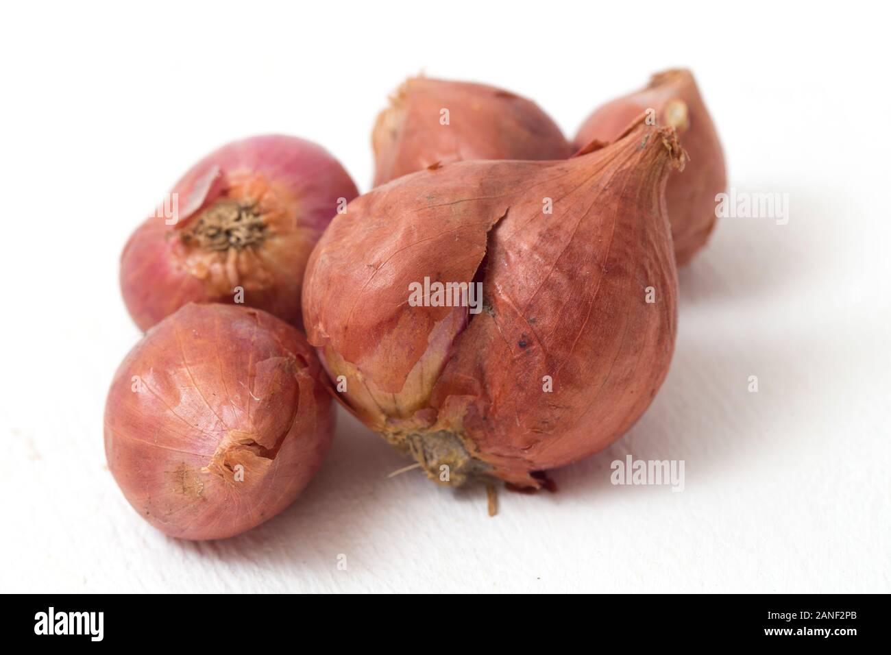 Fresh shallots isolated on white background Stock Photo