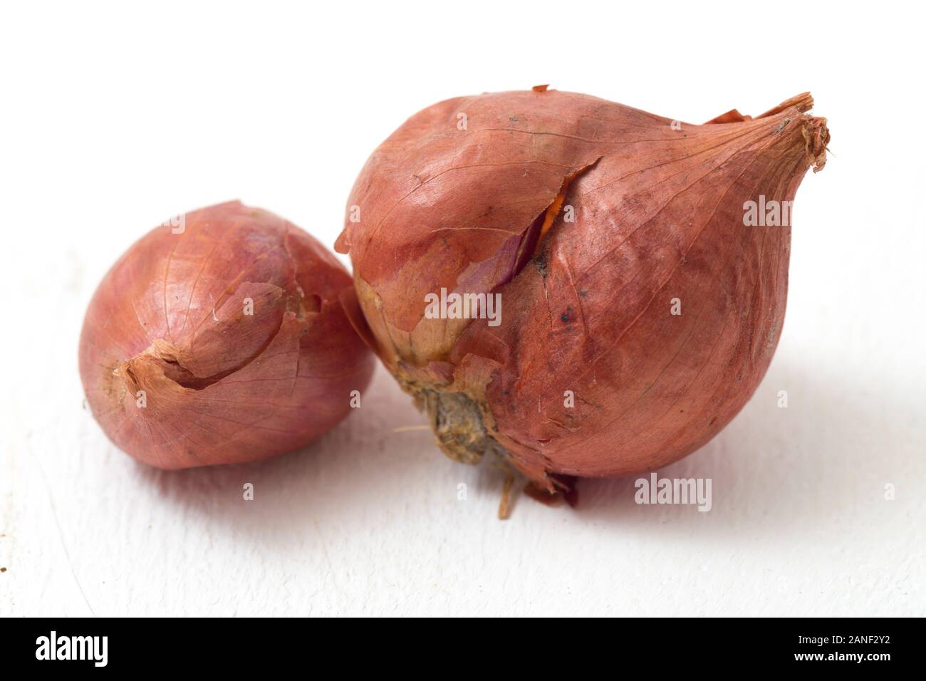 Fresh shallots isolated on white background Stock Photo