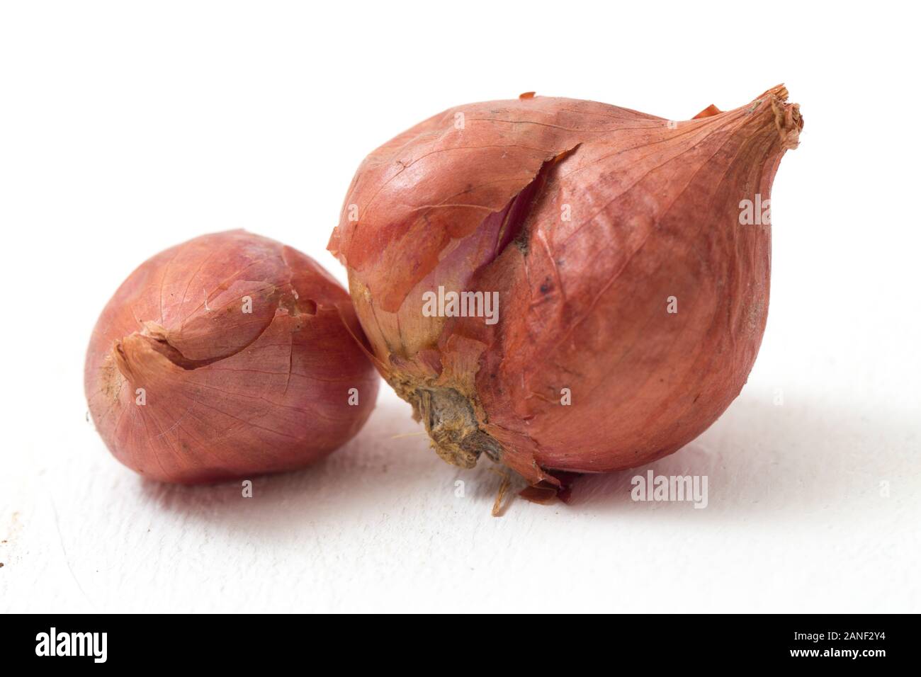 Fresh shallots isolated on white background Stock Photo