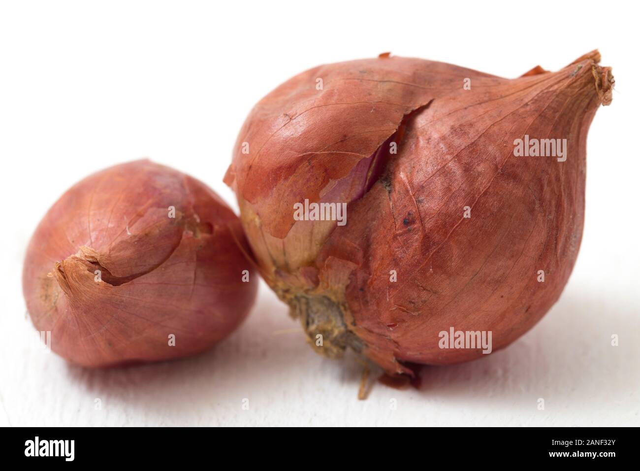 Fresh shallots isolated on white background Stock Photo