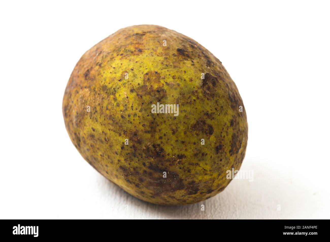 Mangifera Odorata or Kwini or Saipan mango is a mango species isolated on white white. Selective focus. Stock Photo