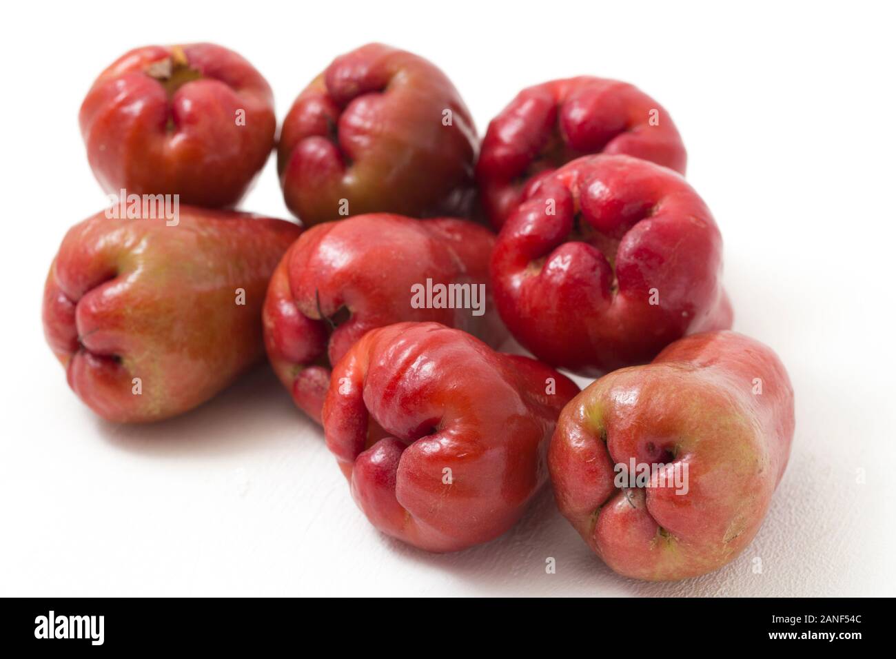 Rose apples or chomphu or Java apple or Syzygium seed isolated on white