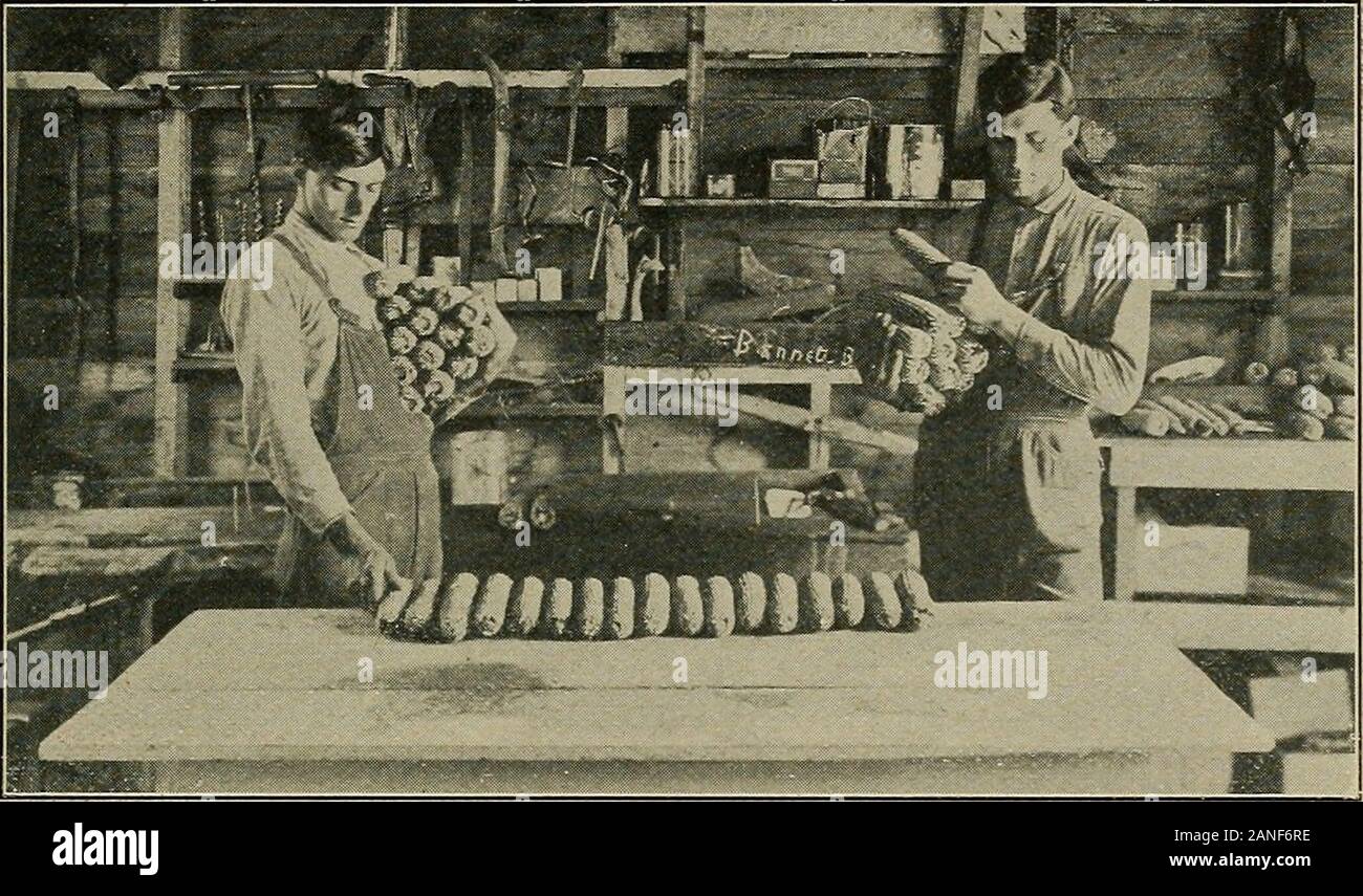 Crop rotation clover hi-res stock photography and images - Alamy