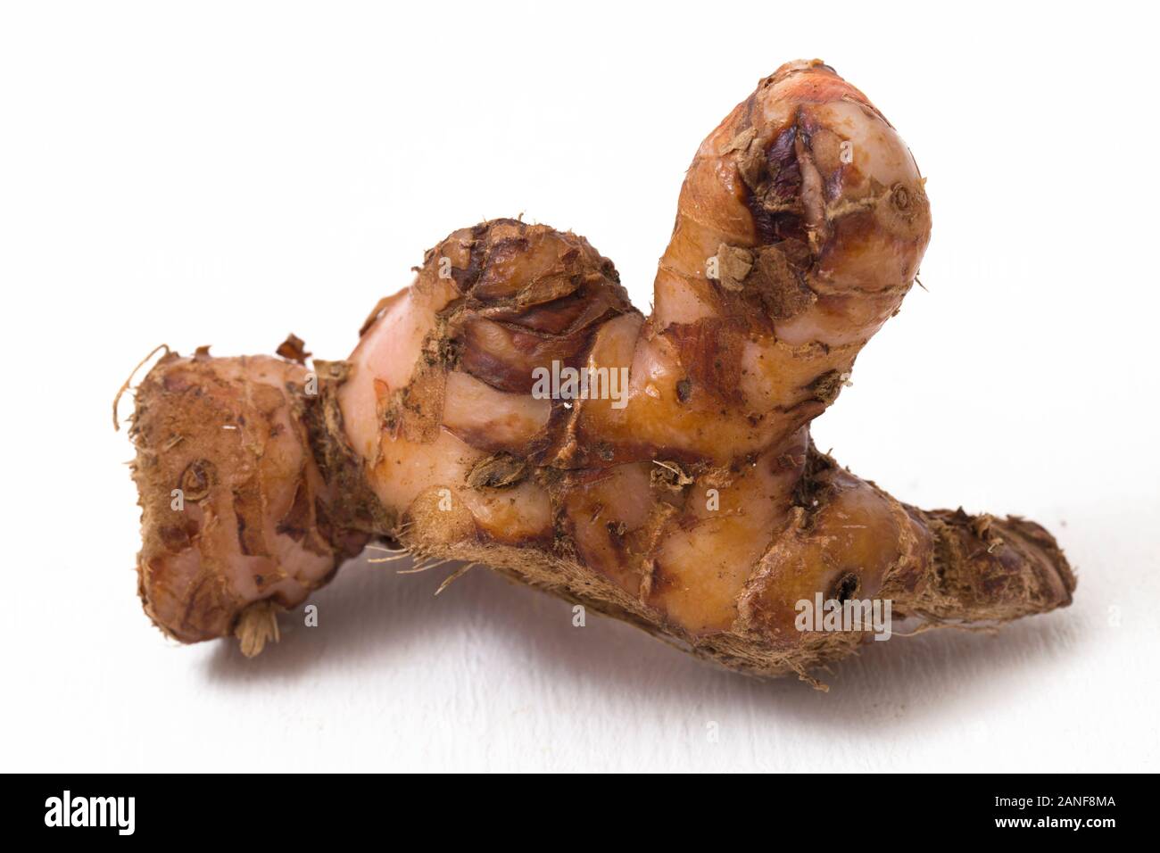 Natural galangal rhizomes in indonesia called lengkuas or laos are used in traditional asian