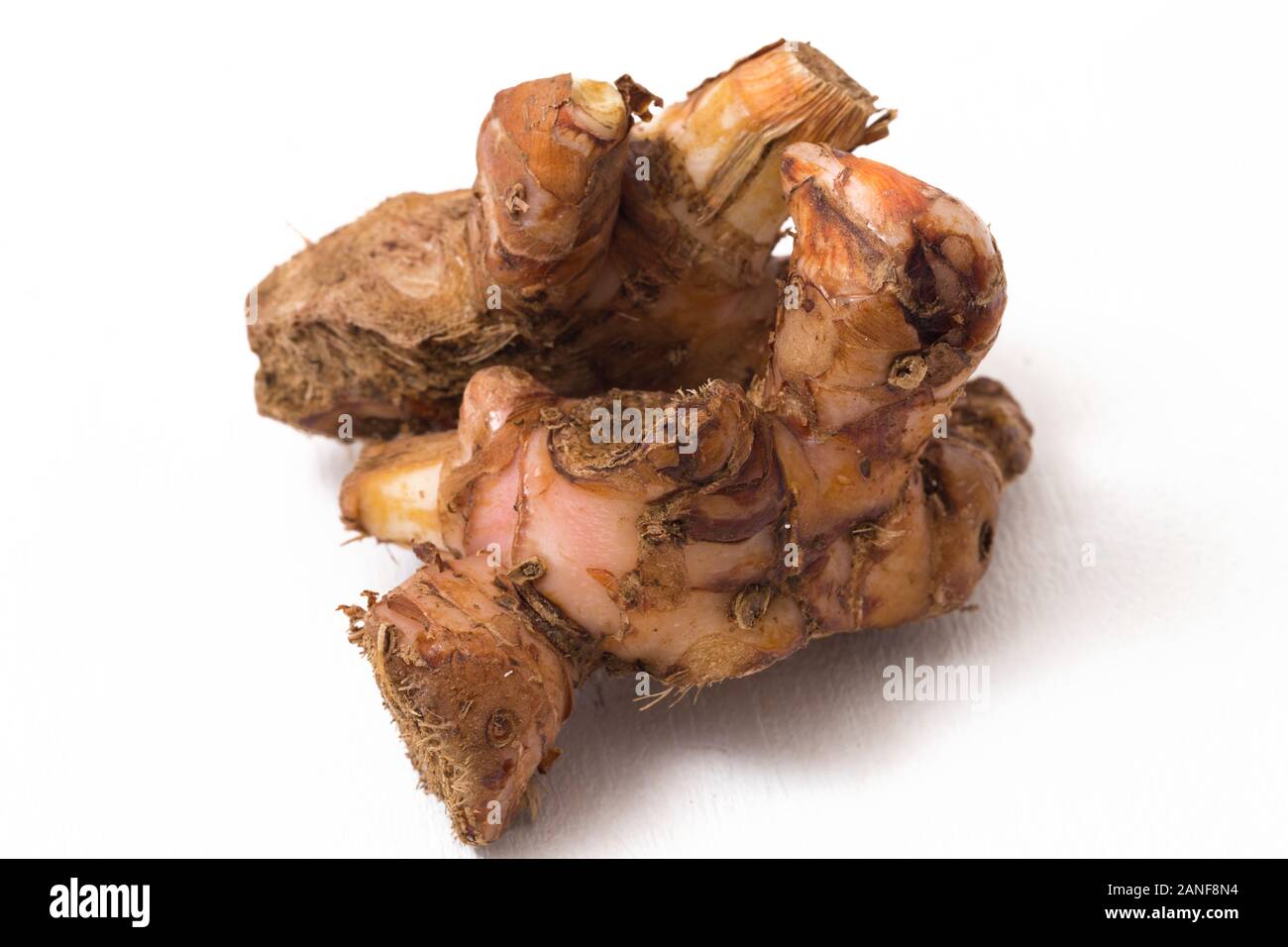 Natural galangal rhizomes in indonesia called lengkuas or laos are used in traditional asian