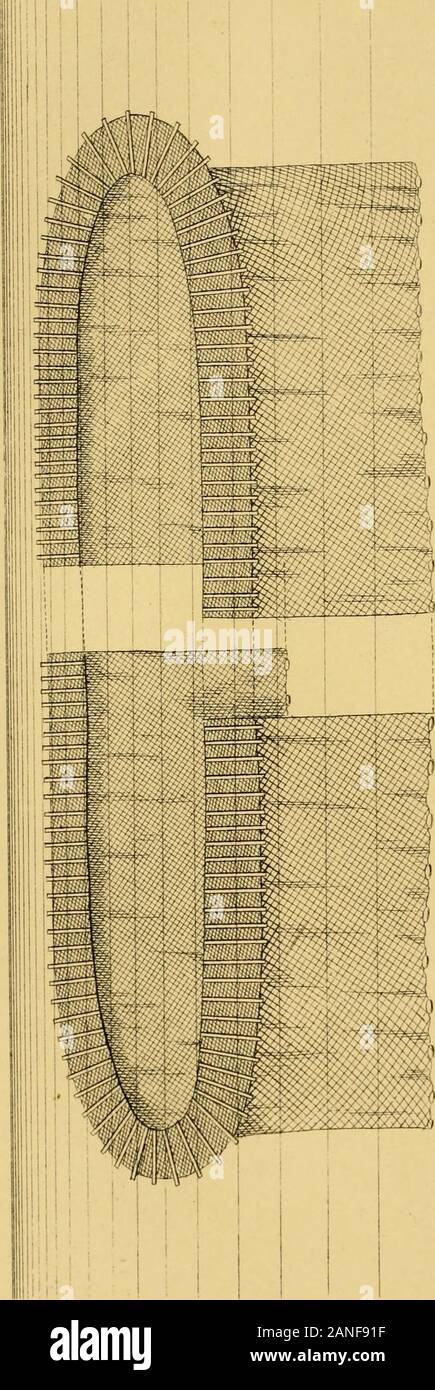 The fisheries of the Adriatic and the fish thereof : a report of the Austro-Hungarian sea-fisheries : with a detailed description of the marine fauna of the Adriatic Gulf . morning. Mesh, 26 mm. in the diagonal; length,100 m.; depth, 4 m. ; price, 50 fl. The Bobera (Posta di bobe, Croat. Bukvare) is a ground-net for the bogue,mackerel, horse mackerel, and mendole. Mesh, 35 mm. in the diagonal;length, 20-100 m. ; depth, 6-7 m. ; price, 20-80 fl. In many places thisnet is used for the kind of fishing known a.s pesca da ludro. The Scombrera is a smaller ground-net for mackerel (Scombri). Length,5 Stock Photo
