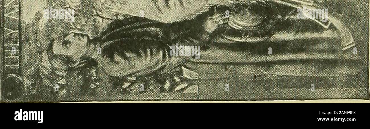 Page 3 Qj K High Resolution Stock Photography And Images Alamy